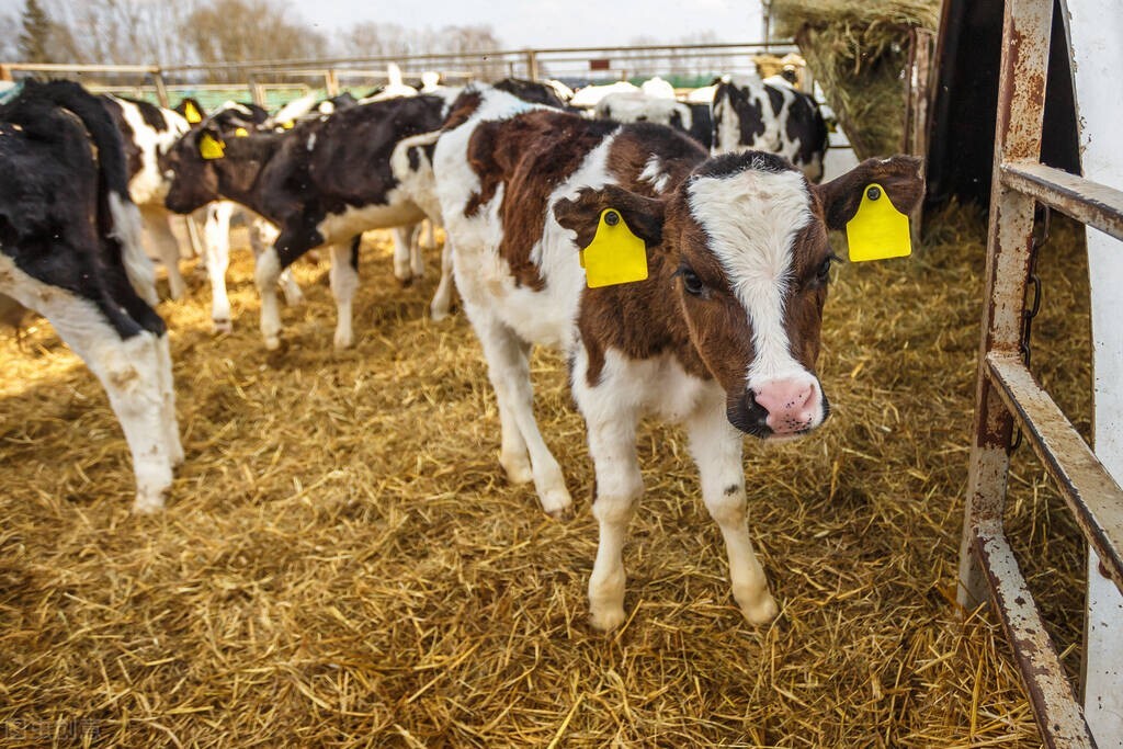 2022年養(yǎng)殖風(fēng)暴再度刮起！有3類人爆賺，還有3類人將被一刀切