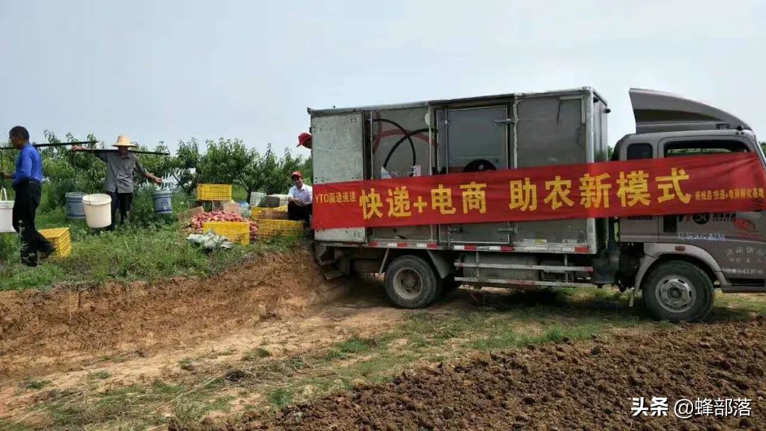 農村適合做啥生意？農村悄然興起的生意有哪些？4個生意值得參考