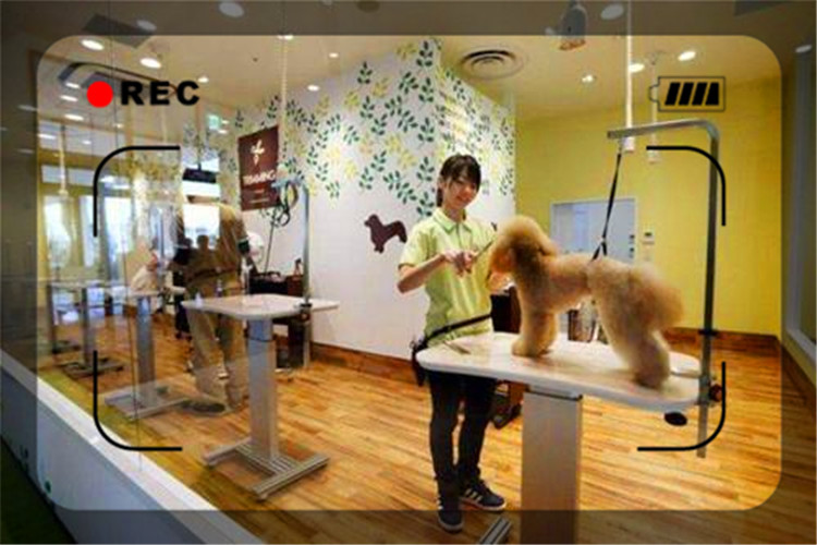 目前經(jīng)濟形勢下，開什么樣的實體店比較穩(wěn)妥呢？推薦幾個供參考