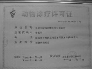 就業(yè)難？開寵物店需要什么手續(xù)？