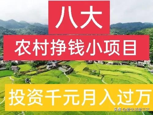 農業小項目,也能掙大錢,這些偏門小生意原來真的很掙錢!