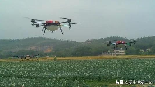 這四個農村稀缺行業，年收入幾十萬很正常，你在做嗎？