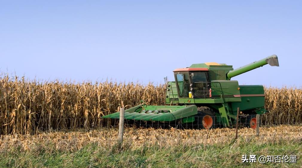 適合農村發展的“小投資項目”有哪些？這四個項目，想賺錢就去做