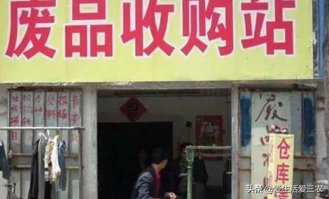 農業小項目,也能掙大錢,這些偏門小生意原來真的很掙錢!