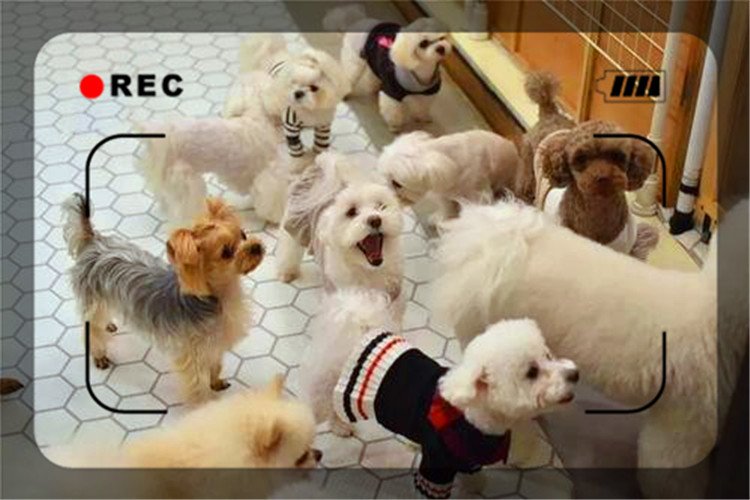 小本創業項目，這幾個收入高、回本快，推薦一下