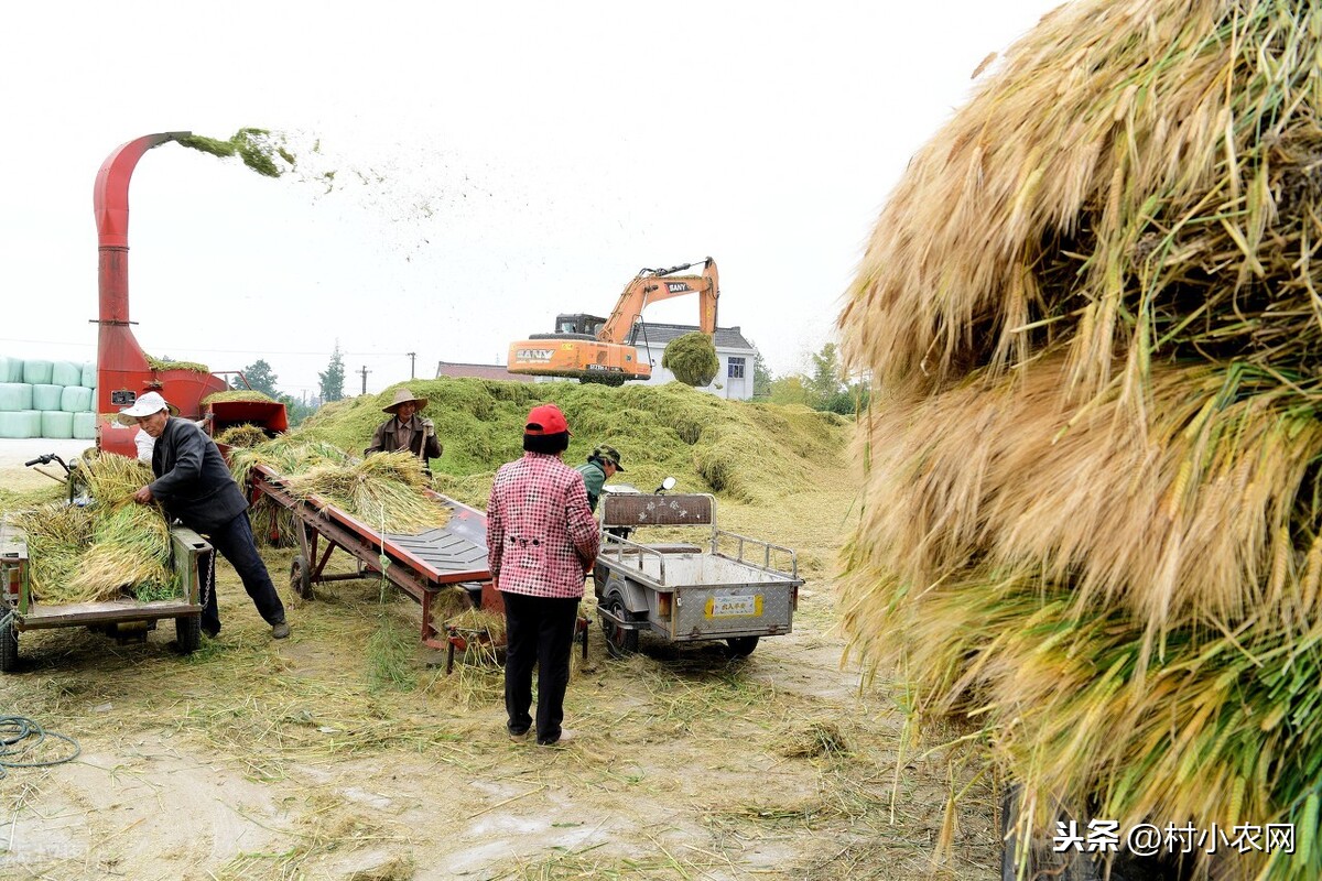 農村現在做什么可以在家創業-專在家創業網