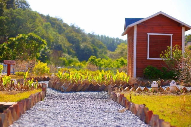農村種植戶如何辦理營業執照?個體戶家庭農場種植營業執照申請流程-專在家創業網