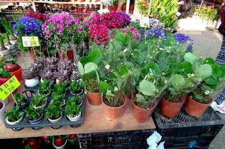 一兩千塊錢能做什么生意？這幾個小項目能快速賺錢，值得一試