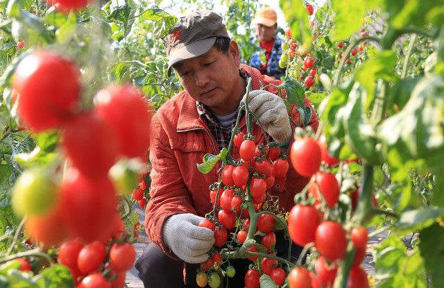 誰說小投資就不能賺大錢？這些小生意就很不錯，值得學習