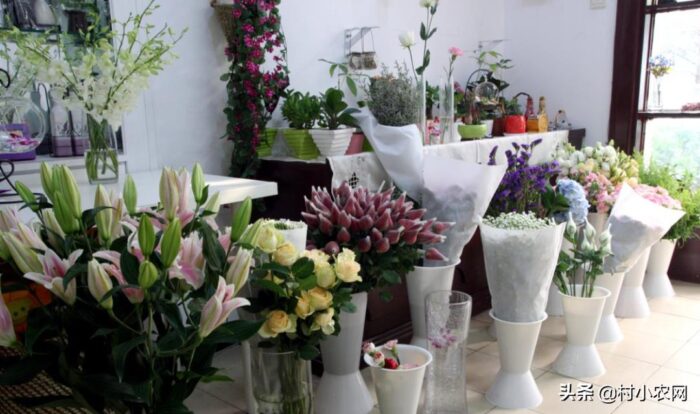 適合農村個人創業項目(推薦回報快投資小45個項目)-專在家創業網