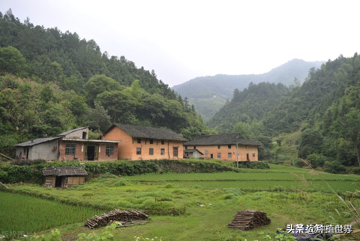 適合窮人養殖創業（適合一個人的養殖業）-專在家創業網