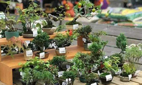 小本創(chuàng)業(yè)干什么掙錢（9個(gè)不起眼卻很賺錢的小生意）-專在家創(chuàng)業(yè)網(wǎng)