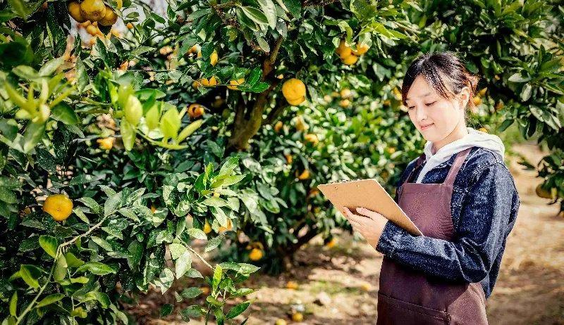 農(nóng)村創(chuàng)業(yè)做什么最適合？精選十個(gè)農(nóng)村賺錢好門路-專在家創(chuàng)業(yè)網(wǎng)