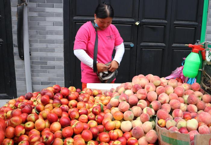 農村干啥賺錢？返鄉創業這5個致富好項目，看看有沒有適合你的？