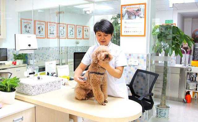 收藏!打工人變老板的十個月小項目