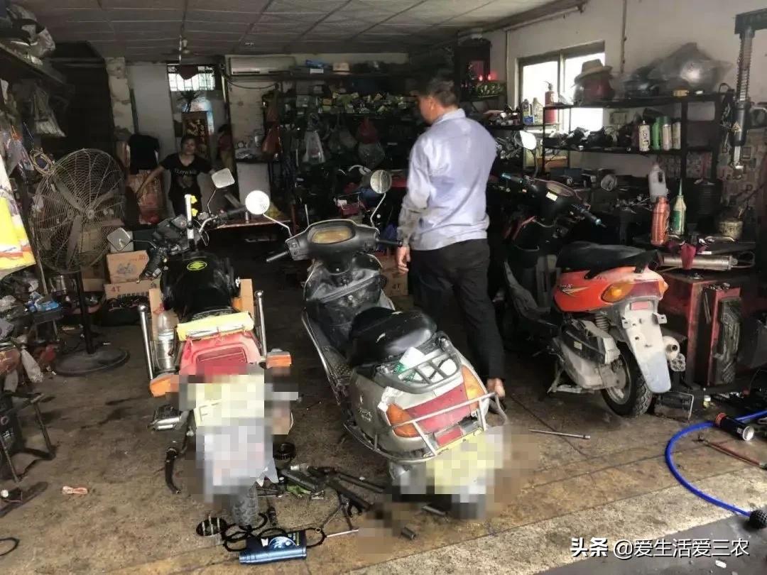 農業小項目,也能掙大錢,這些偏門小生意原來真的很掙錢!