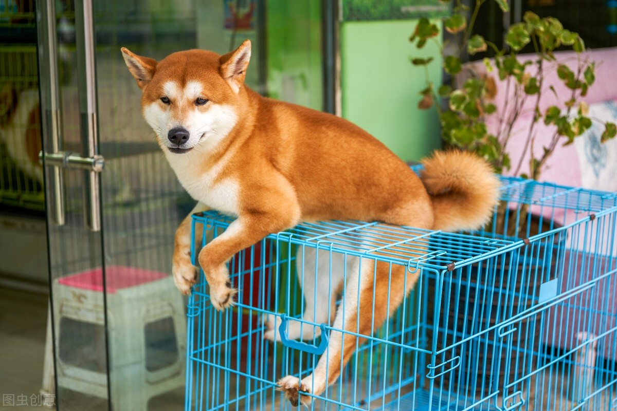 十幾萬存款，要不要創業？這些低成本高利潤項目值得入手