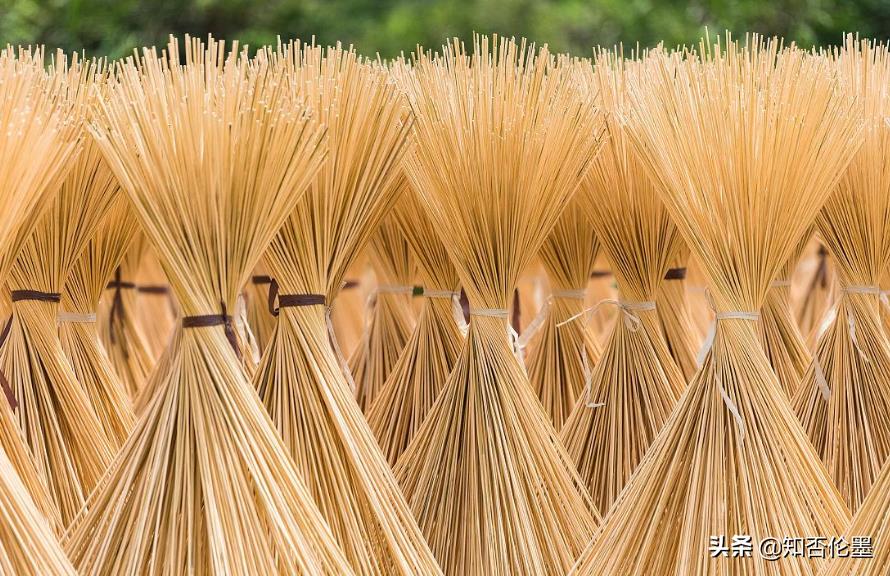 2022年返鄉創業，干哪行“投資小，回報大”？這幾個項目值得參考