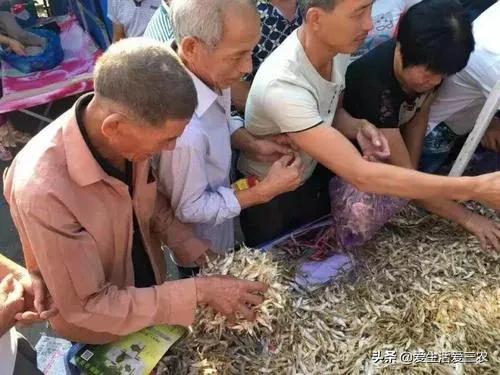 快速回本的十大農村項目，雖然很普通，但是賺得真不少，請收藏