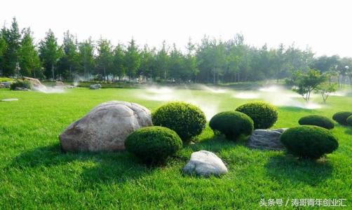 環保項目有哪些(環保方面的創業項目)-專在家創業網