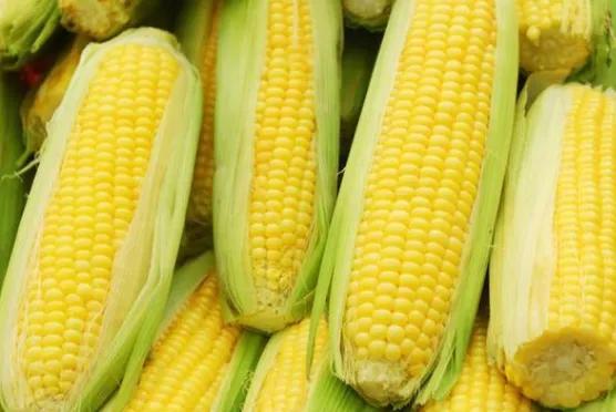 哪些種植項目不愁銷路？這些常見項目值得考慮，請收藏