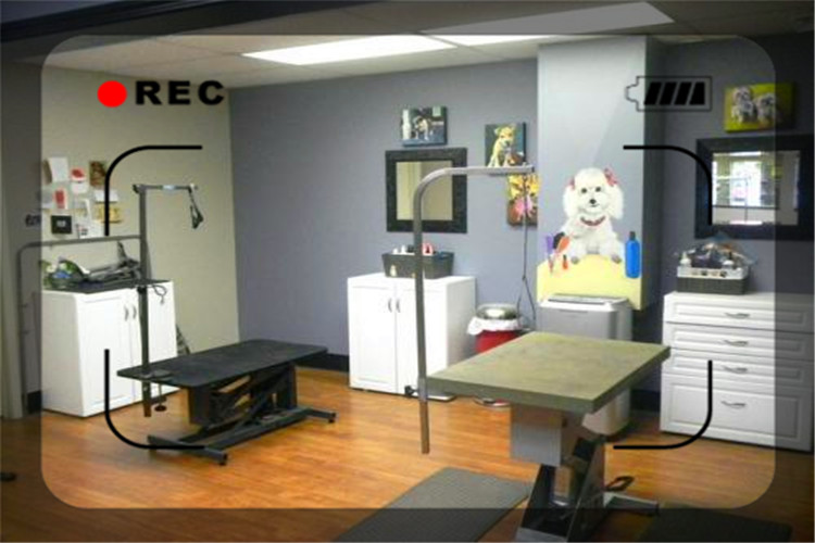 目前經(jīng)濟形勢下，開什么樣的實體店比較穩(wěn)妥呢？推薦幾個供參考