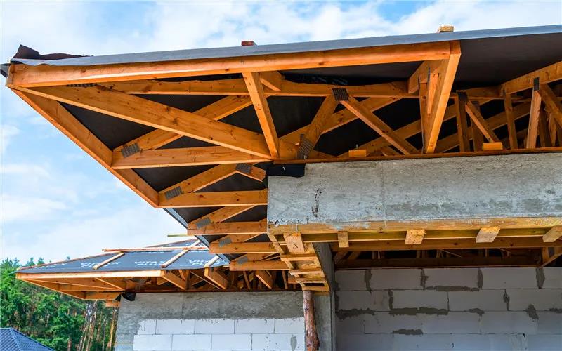 年收入20萬以上，現在農村的這幾個生意，都可以做到