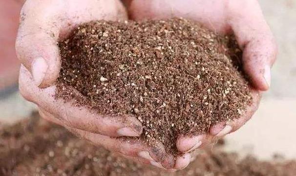 2022年適合農村創業的項目（7個不起眼的暴利小生意）-專在家創業網