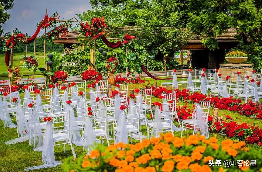 2021年打算辭職回農村的，可以試試這3個項目，小投資，高收入