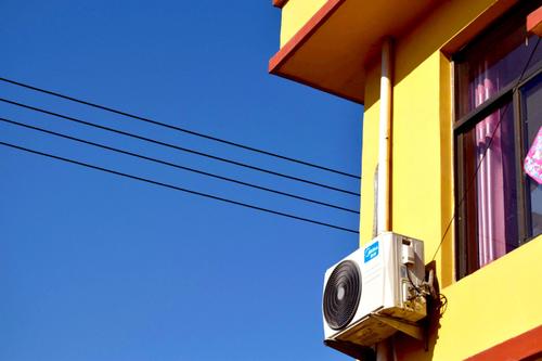 2021年農(nóng)村大發(fā)展，四個項目投資少利潤高，管理好一年30萬