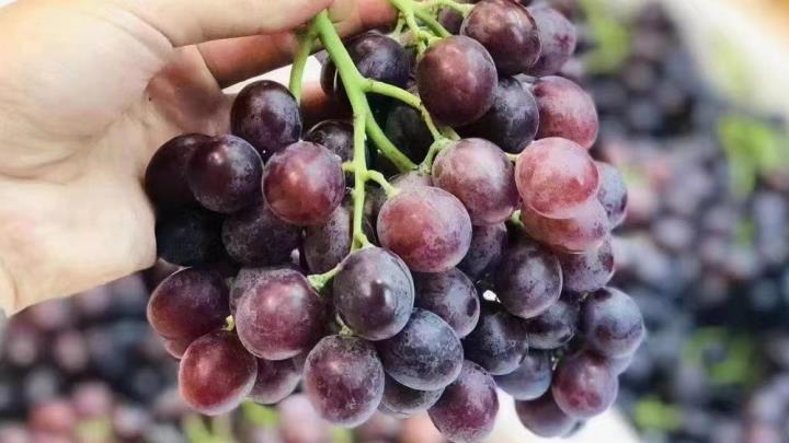 開一個蔬菜水果店需要怎么做(新手經營蔬菜店)-專在家創業網