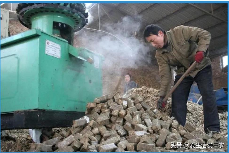 農業小項目,也能掙大錢,這些偏門小生意原來真的很掙錢!