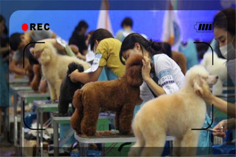 目前經濟形勢下，開什么樣的實體店比較穩妥呢？推薦幾個供參考