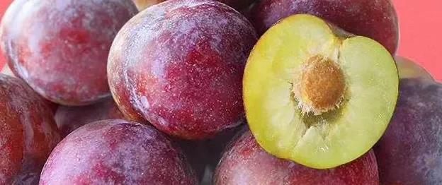 新手做水果生意怎么做？開水果店注意事項-專在家創業網