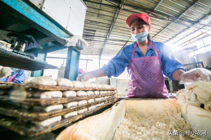 適合農(nóng)村創(chuàng)業(yè)的小項目有哪些啊？農(nóng)村創(chuàng)業(yè)6個項目-專在家創(chuàng)業(yè)網(wǎng)