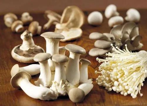 哪些種植項目不愁銷路？這些常見項目值得考慮，請收藏