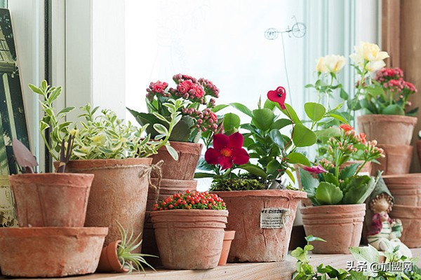 一個人開什么店好?適合新手開的店-專在家創業網