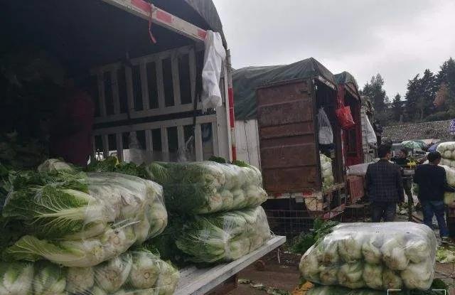 一無所有的農村人，做什么項目比較合適？