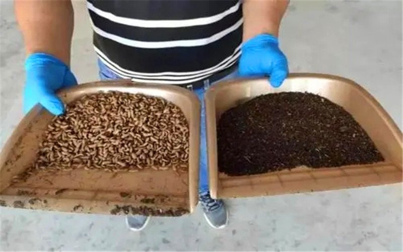 投資小見效快的好項目（室內養殖小投資）-專在家創業網