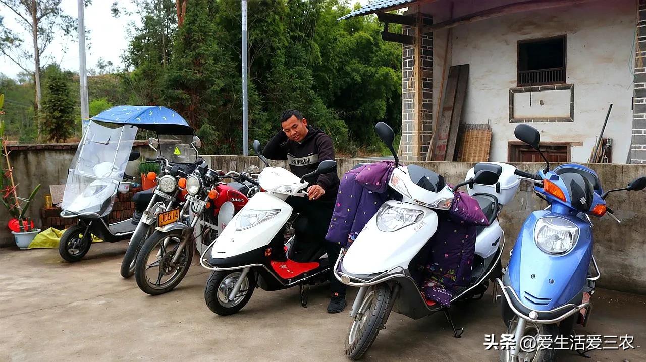 農業小項目,也能掙大錢,這些偏門小生意原來真的很掙錢!