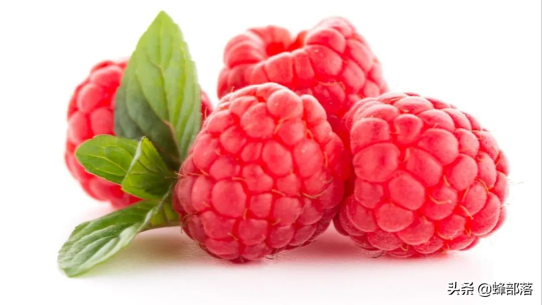 2021年農村發展,這些項目投資不多利潤高,管理好賺50萬是可能的