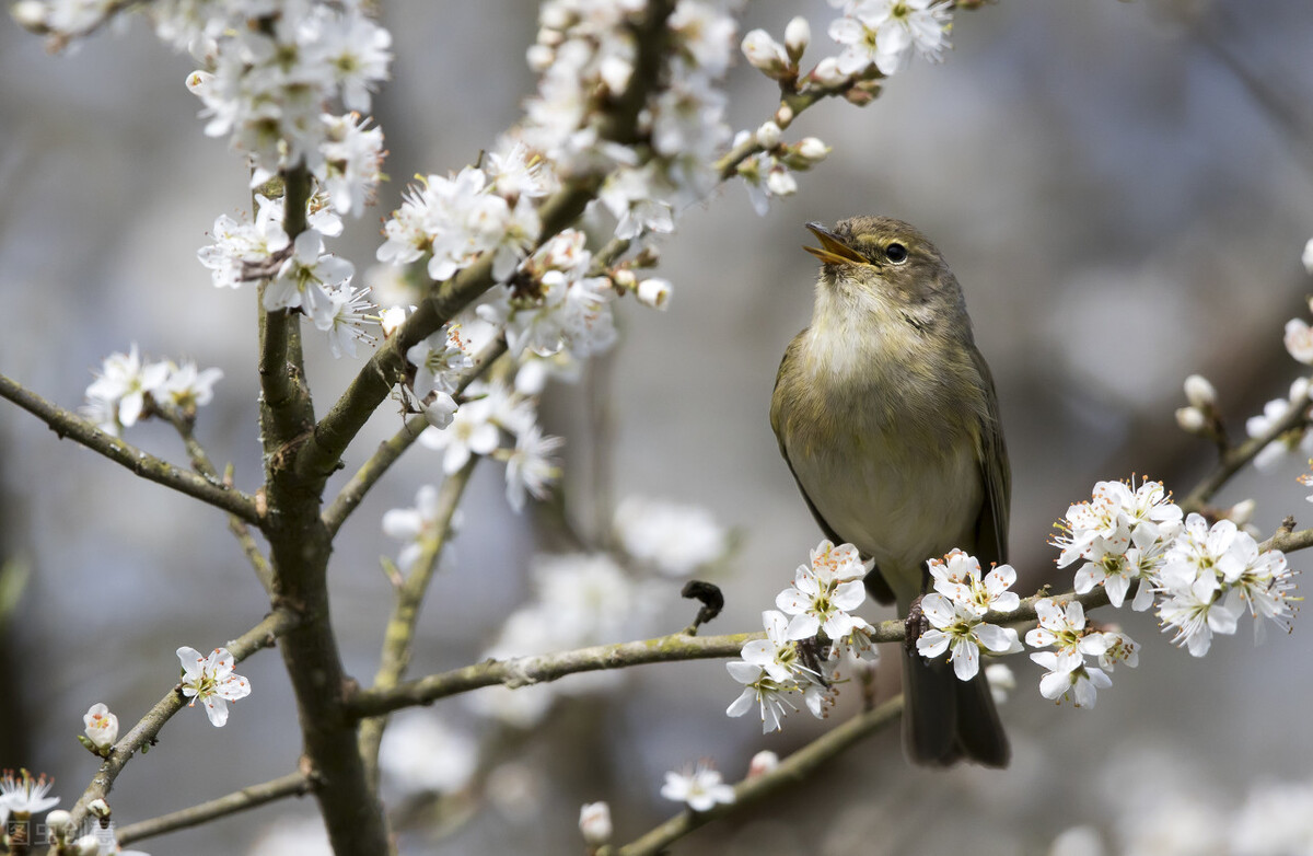 寶媽要不要創業，想開童裝店的，一定要來看看，實體店經驗分享