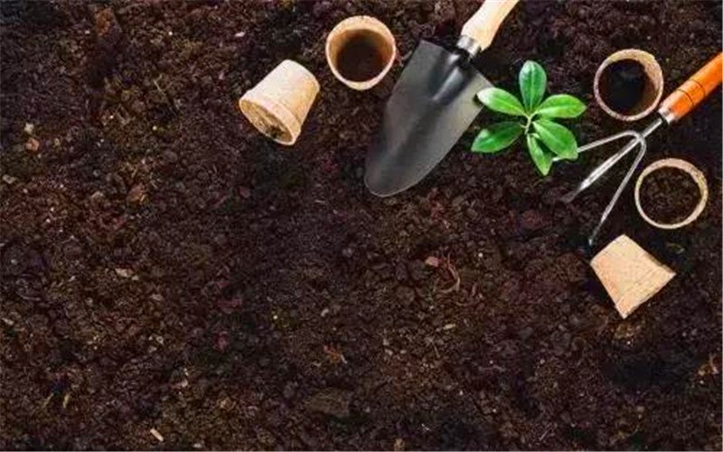 目前投資10萬以內(nèi)的加工廠，有什么項目能年收入百萬的？推薦幾個