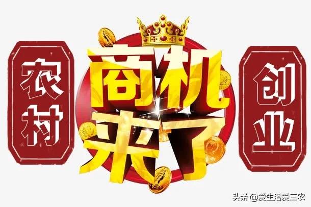 這四個農村稀缺行業，年收入幾十萬很正常，你在做嗎？