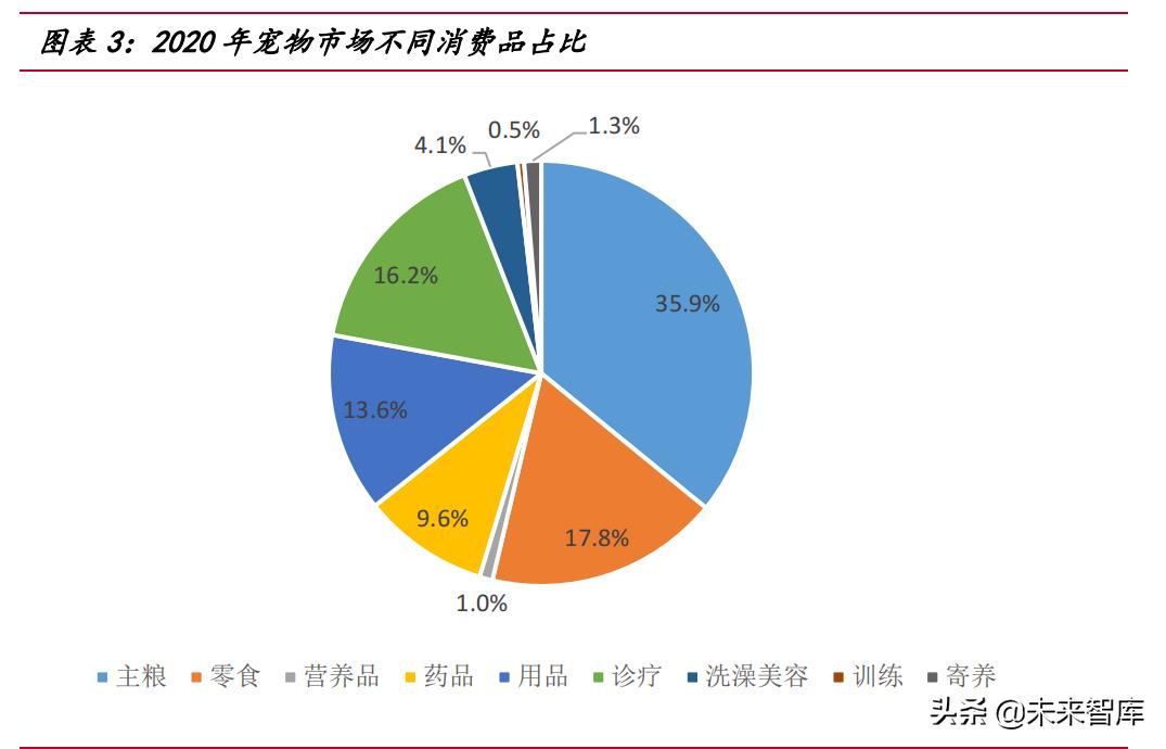 寵物行業前景分析（寵物行業的前景預測與發展趨勢）-專在家創業網