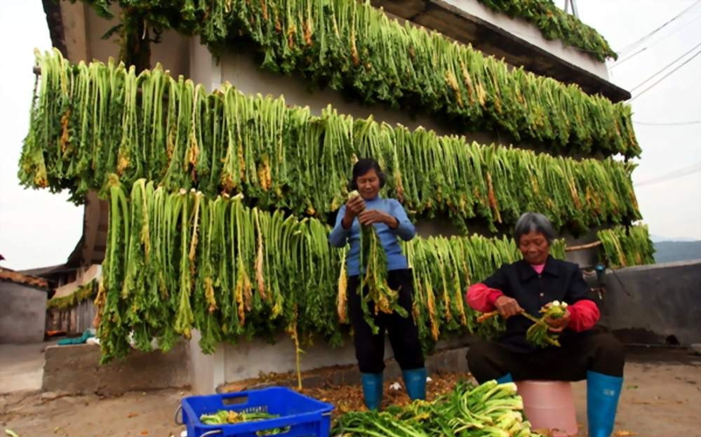 2021年農(nóng)村大發(fā)展，四個項目投資少利潤高，管理好一年30萬