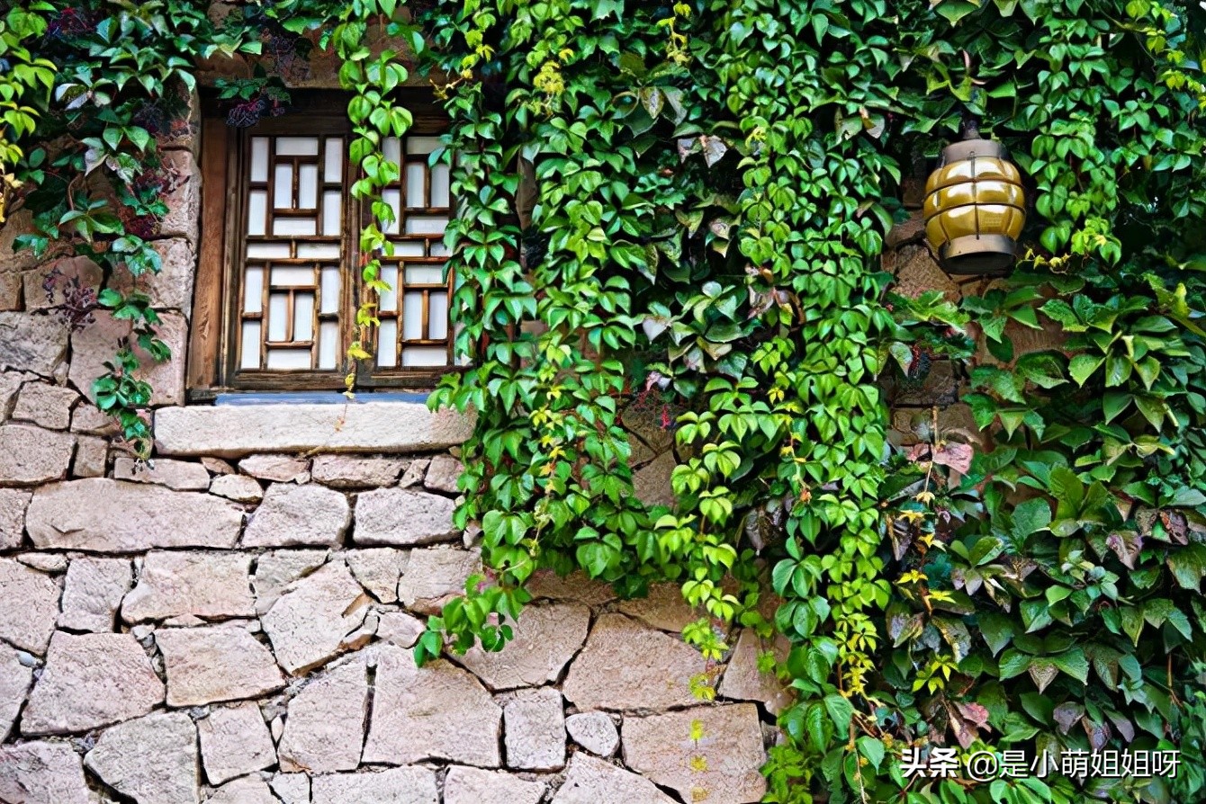 如果你現(xiàn)在很窮，不妨試一下互聯(lián)網(wǎng)低成本的輕創(chuàng)業(yè)，也許會有驚喜