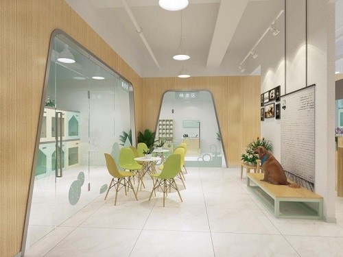 開寵物店需要什么資質（新手開寵物店經驗）-專在家創業網