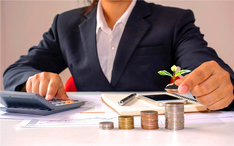 5萬元的投入，現在做哪些生意，能一年有20萬以上的收入？