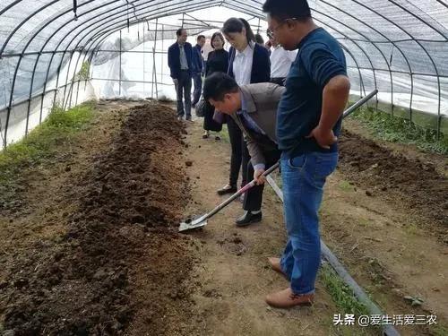 推薦四個農村低成本創業項目，門檻很低，最低投資只需千元